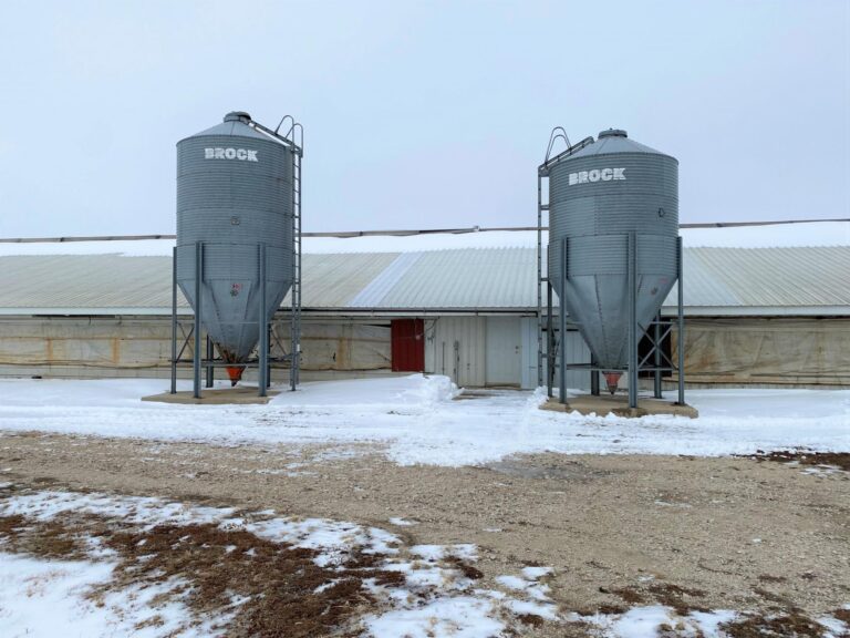 Turkey Production Facility - 40 Acres m_l-3-1612892951