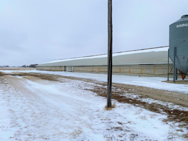 Turkey Production Facility - 40 Acres m_l-3-1612892978