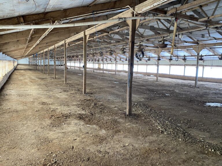 Turkey Production Facility - 40 Acres m_l-3-1612893020