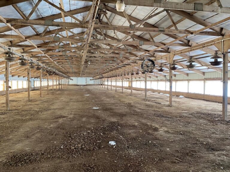 Turkey Production Facility - 40 Acres m_l-6-1612893098