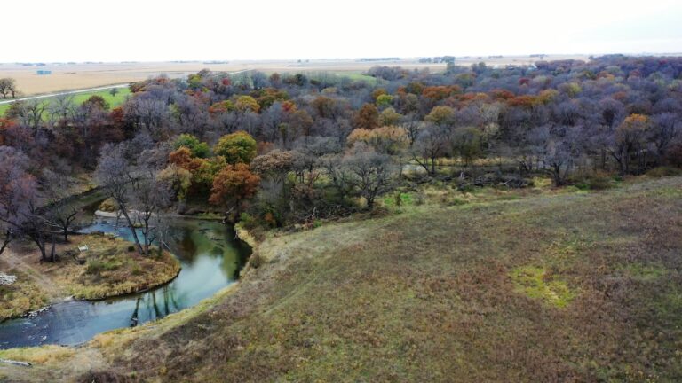 100 Acres m_l Cropland & Timber-1-1572616843