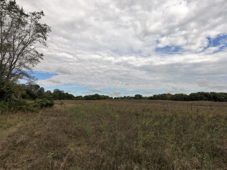 100 Acres m_l Cropland & Timber-10-1569953432