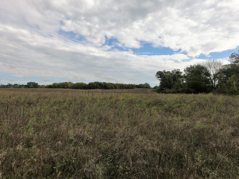 100 Acres m_l Cropland & Timber-11-1569953455