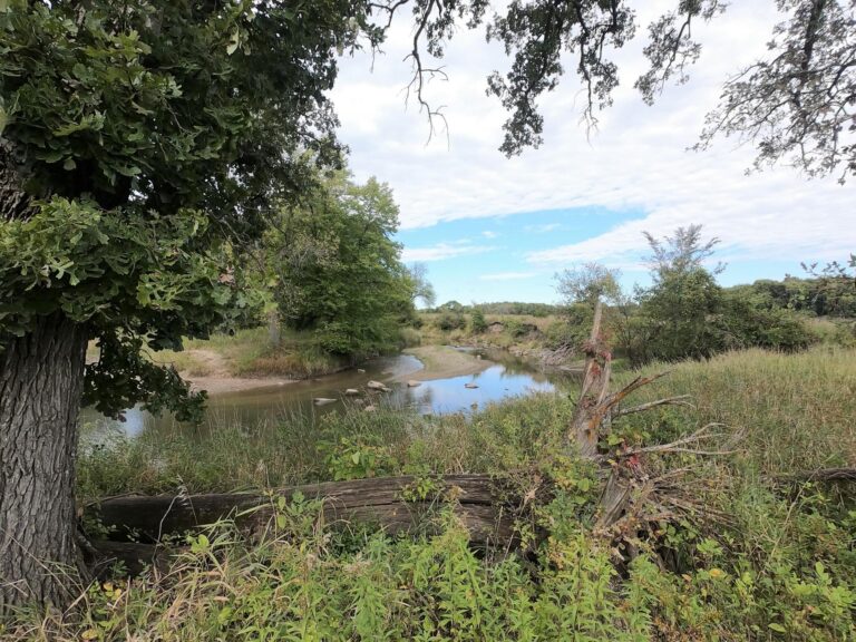 100 Acres m_l Cropland & Timber-12-1569953602