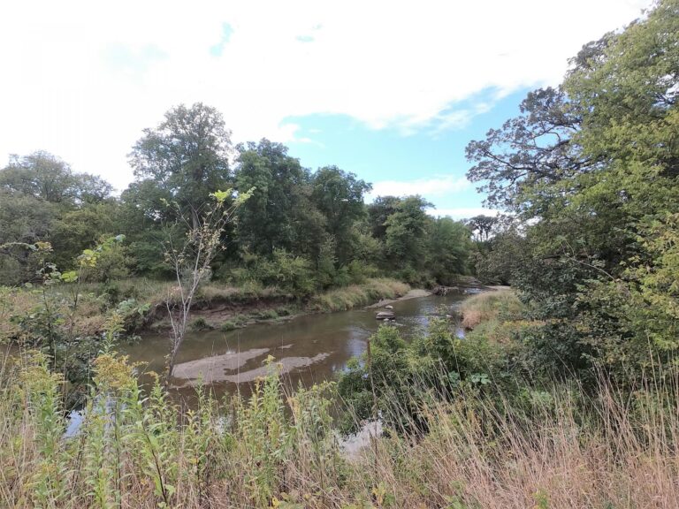 100 Acres m_l Cropland & Timber-13-1569953515