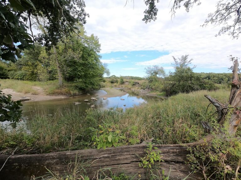 100 Acres m_l Cropland & Timber-15-1569953631