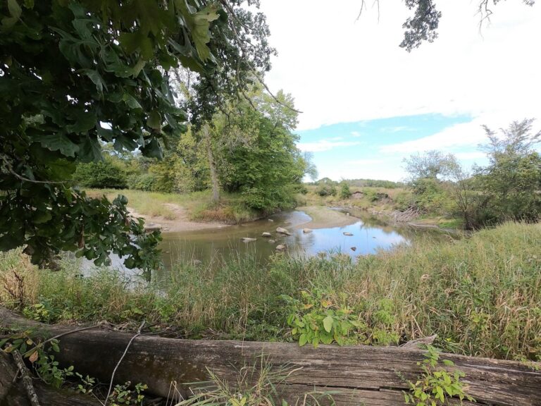 100 Acres m_l Cropland & Timber-16-1569953653