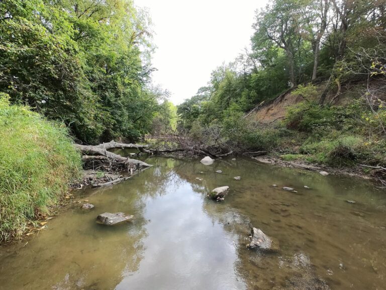 100 Acres m_l Cropland & Timber-17-1569953674