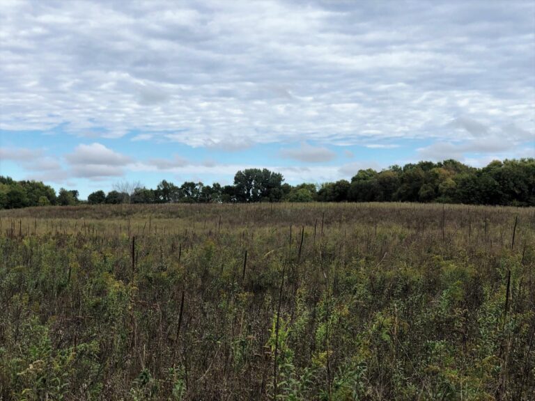 100 Acres m_l Cropland & Timber-18-1569953696