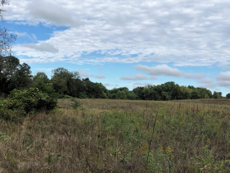 100 Acres m_l Cropland & Timber-20-1569953722