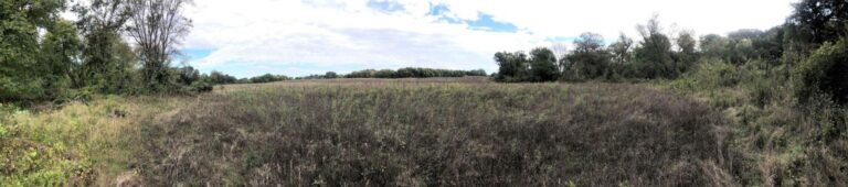 100 Acres m_l Cropland & Timber-20-1569954750