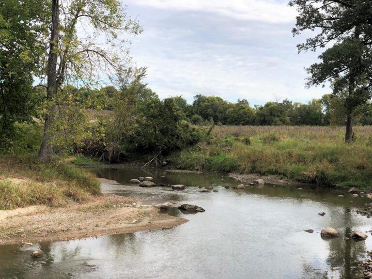 100 Acres m_l Cropland & Timber-27-1569953945