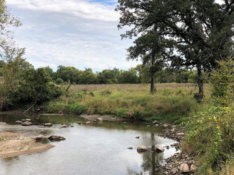 100 Acres m_l Cropland & Timber-29-1569953969