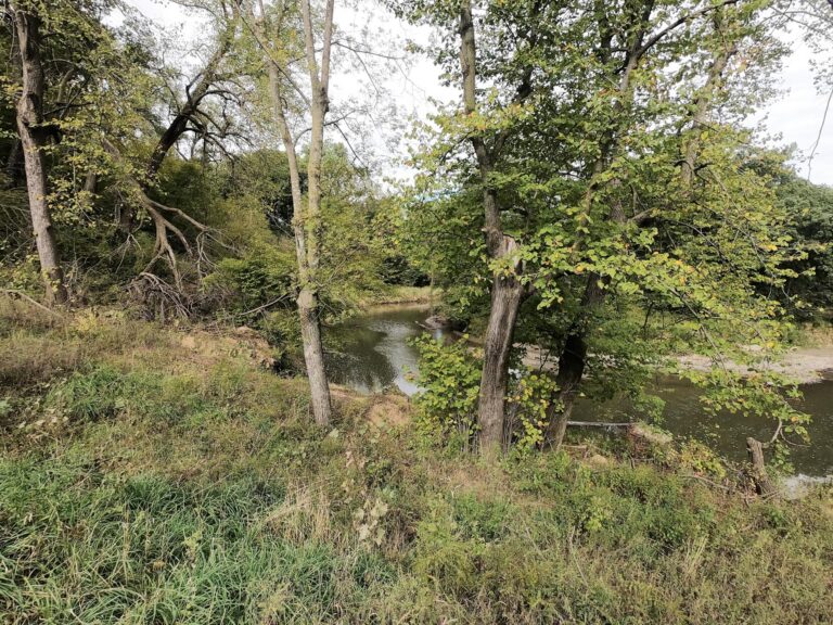 100 Acres m_l Cropland & Timber-3-1569953224