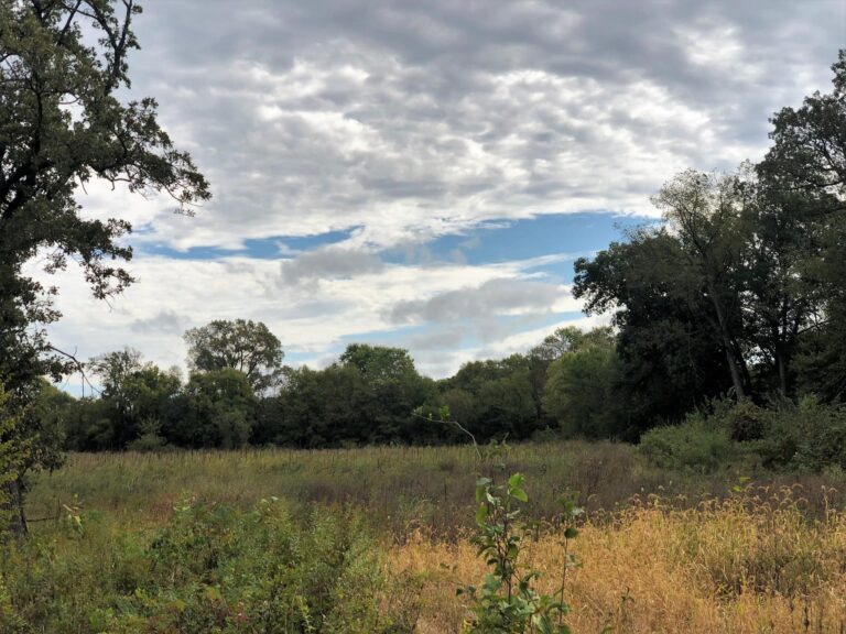 100 Acres m_l Cropland & Timber-31-1569954006