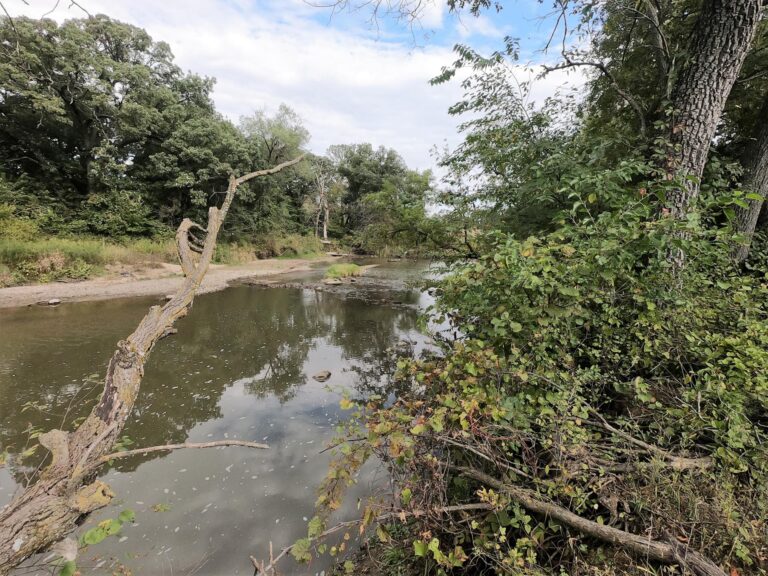100 Acres m_l Cropland & Timber-4-1569953254