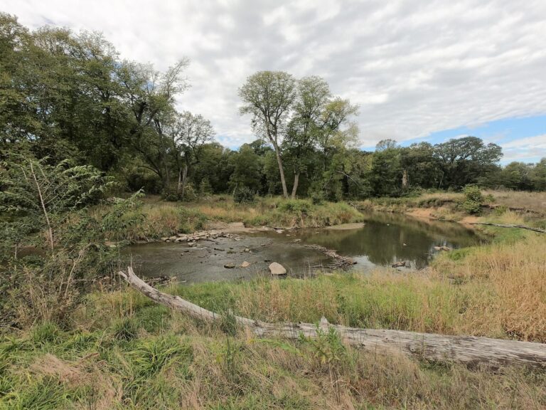 100 Acres m_l Cropland & Timber-7-1569953327