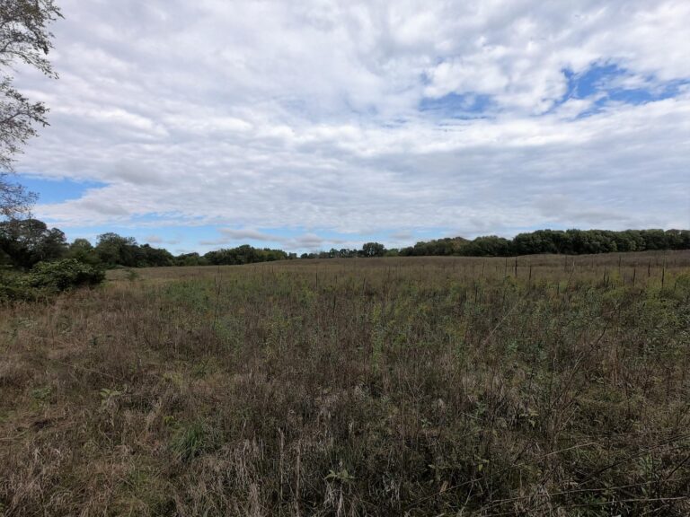 100 Acres m_l Cropland & Timber-8-1569953369