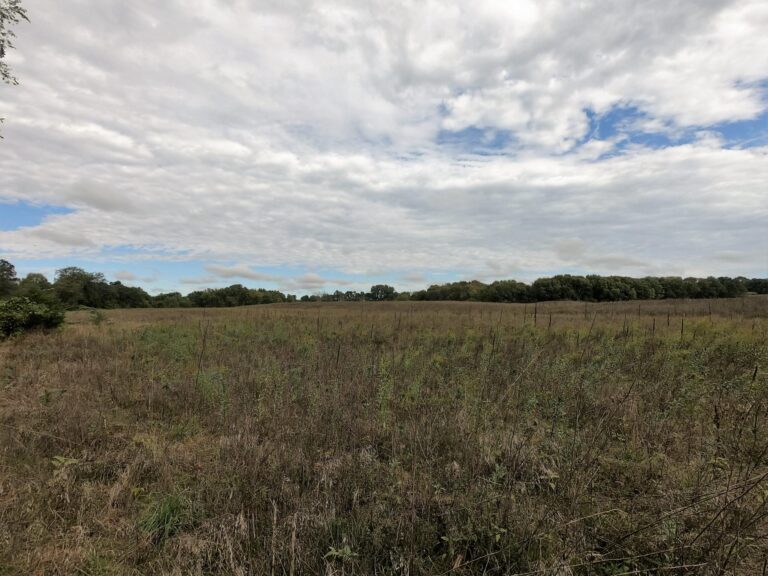 100 Acres m_l Cropland & Timber-9-1569953393