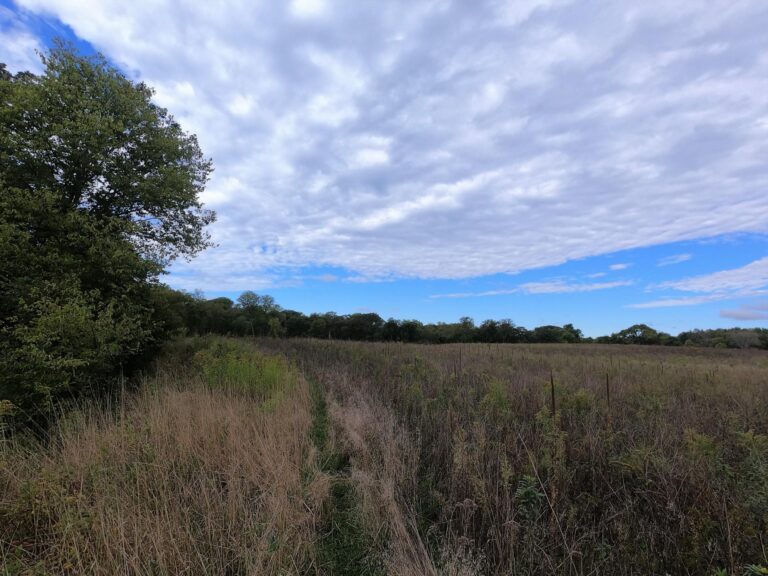 100 Acres m_l Cropland & Timber-photo 2-1569953201