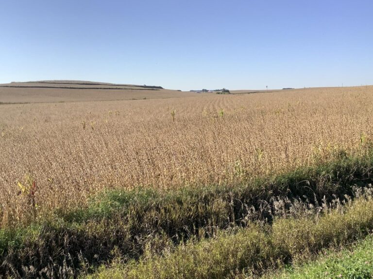113.02 Surveyed Acres-1-1633551723
