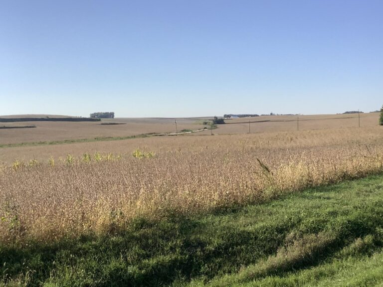 113.02 Surveyed Acres-1-1633551750