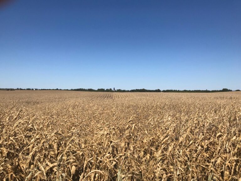 118.43 Surveyed Acres-1-1572038186