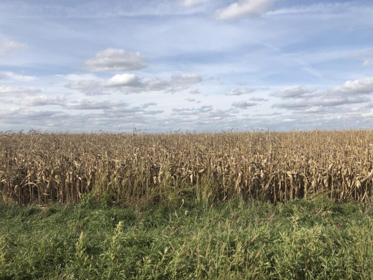 119.3 Surveyed Acres-video-1538170384