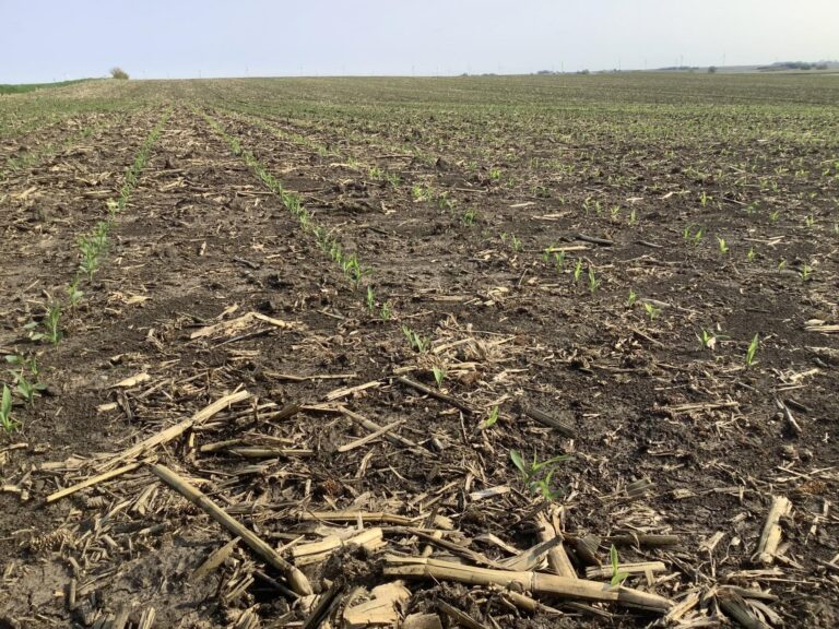 120 Acres m_l-Eureka Twp-1684526701