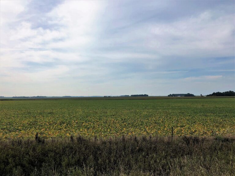 139.44 Surveyed Acres Selling in 3 Tracts-Gould-1570127231