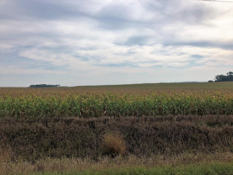 139.44 Surveyed Acres Selling in 3 Tracts-Gould-1570127618