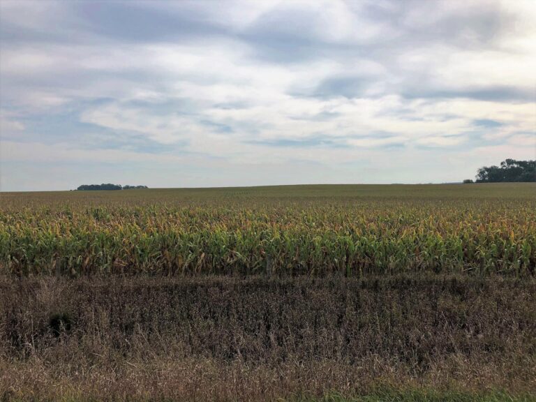 139.44 Surveyed Acres Selling in 3 Tracts-Gould-1570127696