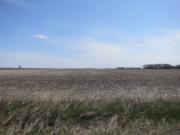 145 Acres - Two Parcels-landscape-2776