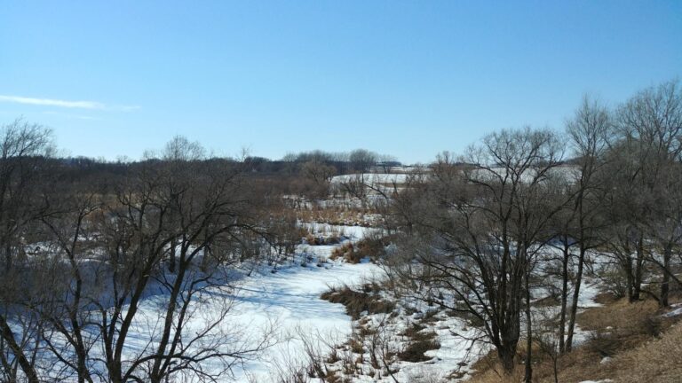 150.1 Acres - 2 Tracts-Tract 2 -1520181874