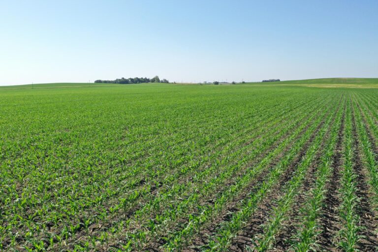 151 Acres m_l-2-1623351938