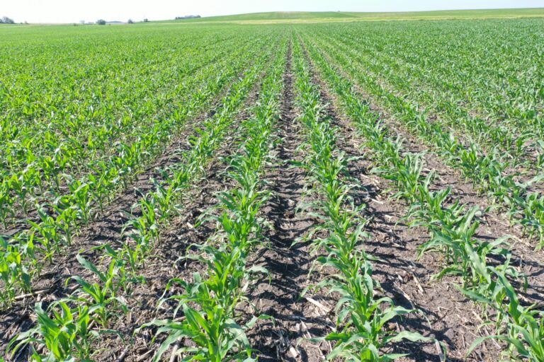 151 Acres m_l-3-1623351958