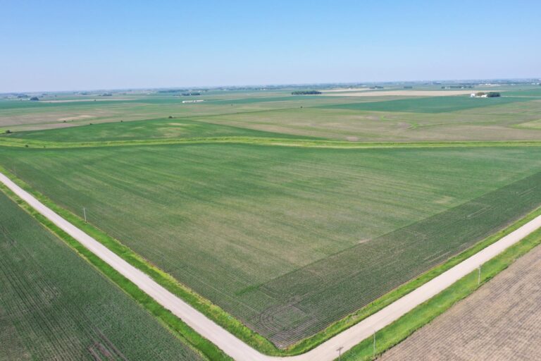 151 Acres m_l-4-1623351975