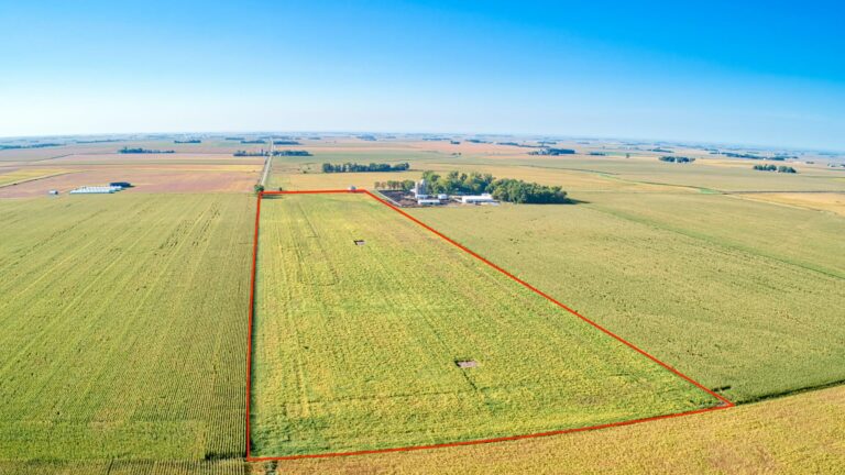 154.15 Acres m_l Selling in 3 Tracts-Tract 2 Facing Southwest-1632173567