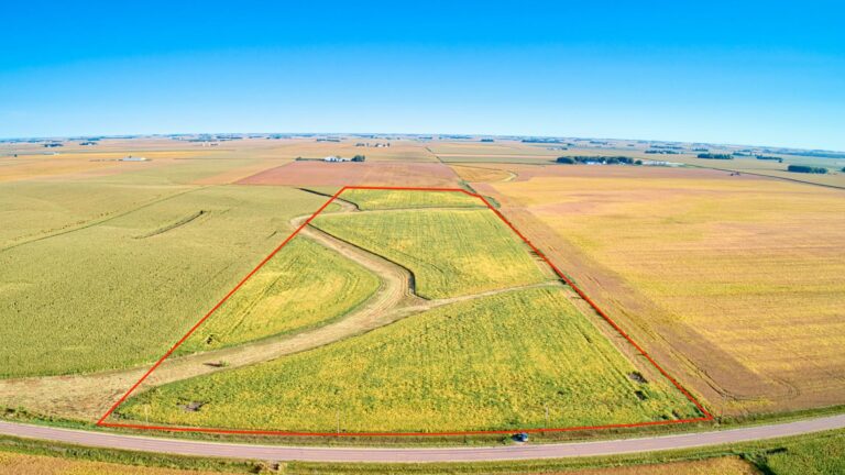 154.15 Acres m_l Selling in 3 Tracts-Tract 3 Facing North-1632173638