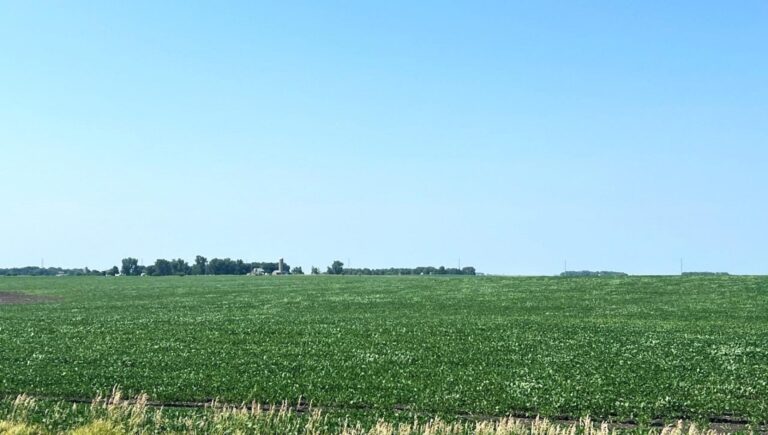 159.16 Acres-1-1722376335