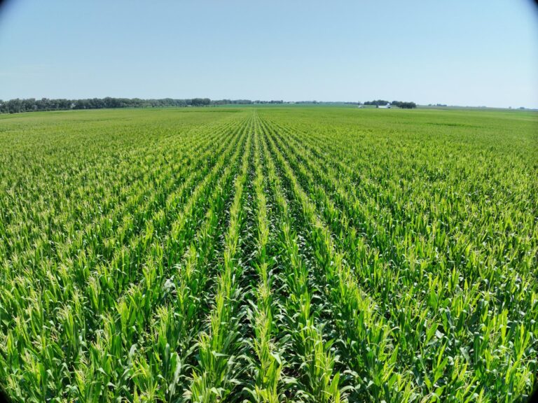 160 Acres m_l-Tract 1-1722876902