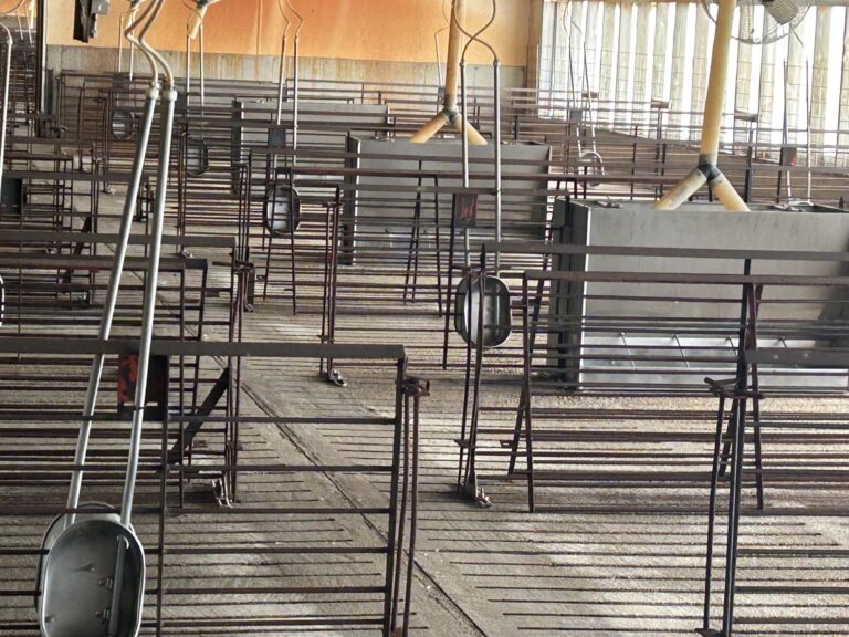1,925 Head Finishing Site-Swine Facility-1673540845
