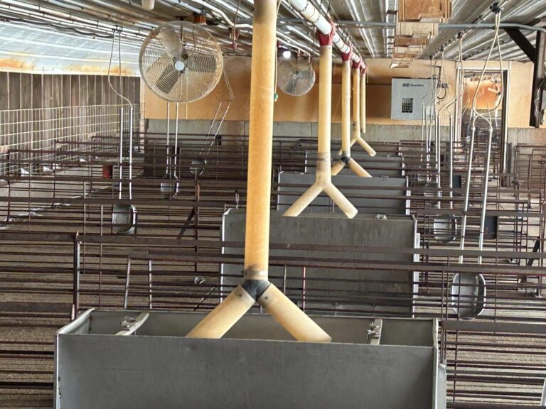 1,925 Head Finishing Site-Swine Facility-1673540888