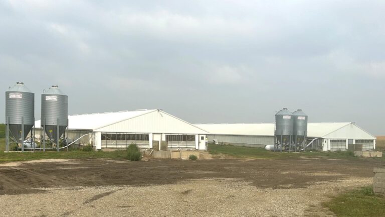2 - 1200 Head Finishing Barns-Swine Facility-1694452183