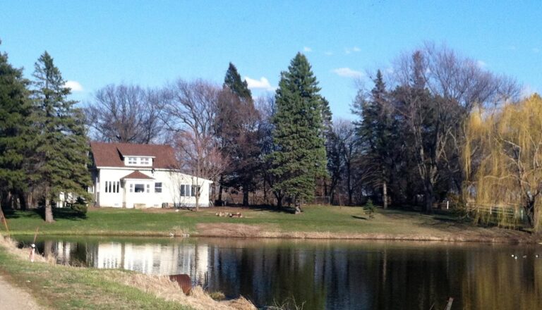 20 Acres m_l, Home & Outbuildings-Acreage Video-1554841275