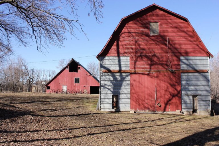 20 Acres m_l, Home & Outbuildings-Corncrib and barn-1554832856