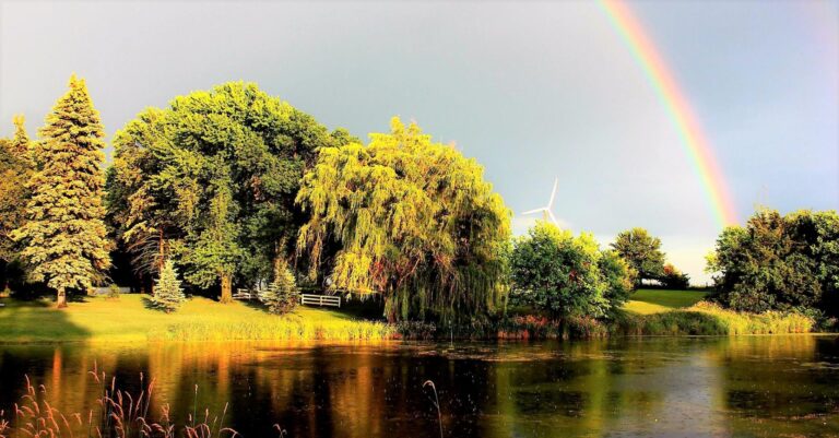 20 Acres m_l, Home & Outbuildings-Rainbow-1554833322