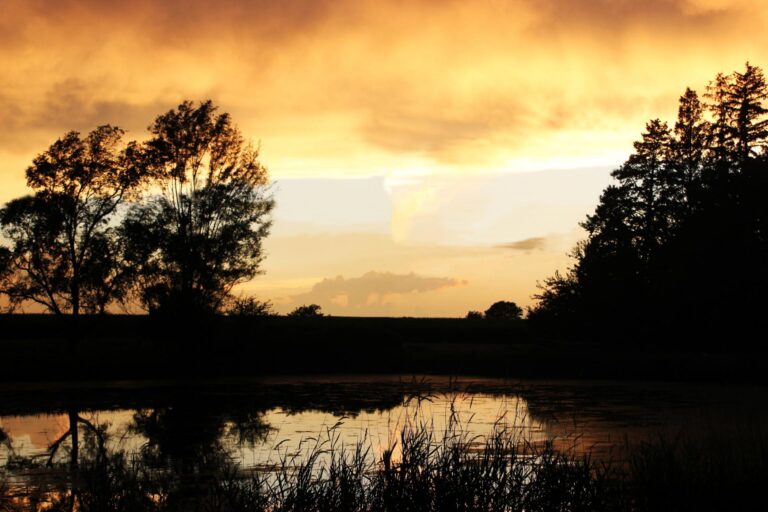 20 Acres m_l, Home & Outbuildings-Sunset-1554833060