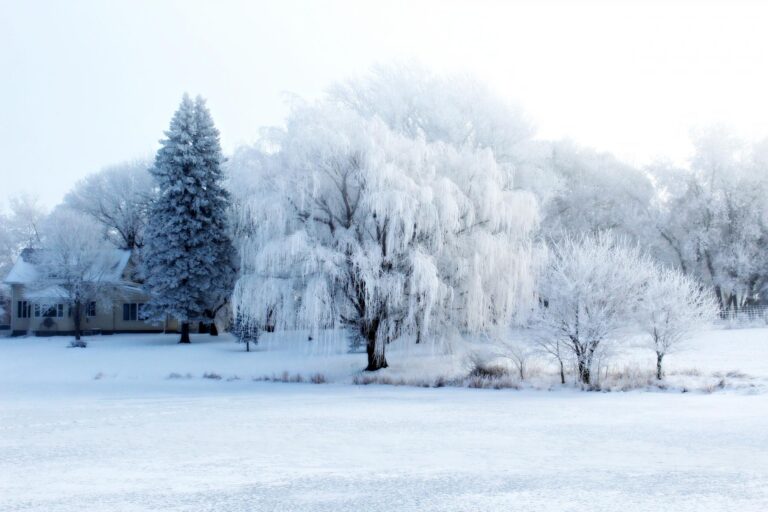 20 Acres m_l, Home & Outbuildings-Winter Scape-1554833383