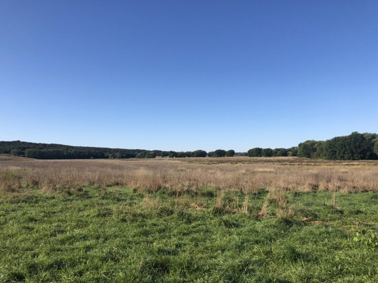 200 Acres CRP & Recreational Paradise-Photo-1572640350